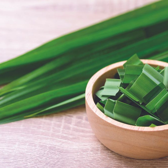 Pandan Candle