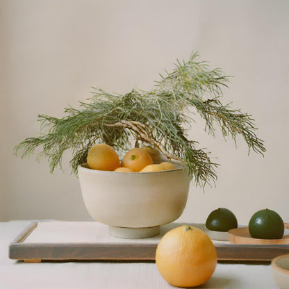 Hinoki Yuzu