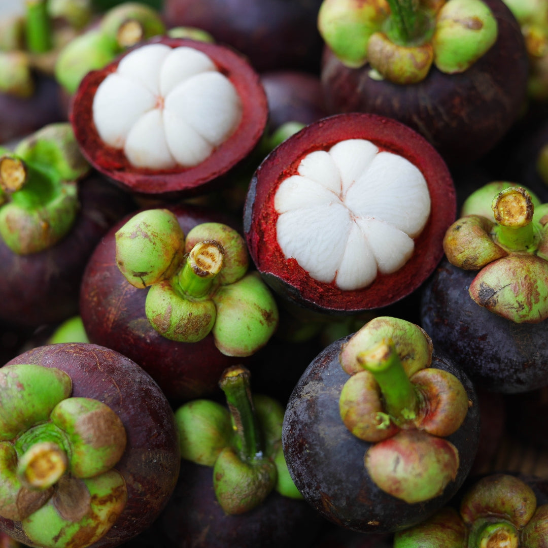 Mangosteen Candle