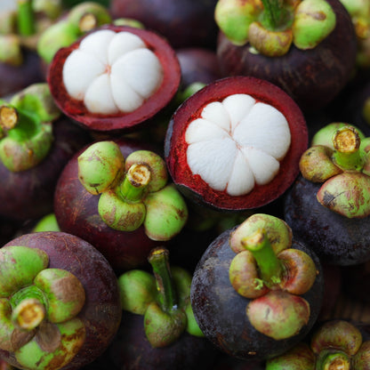 Mangosteen Candle
